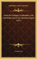 Seewis Im Prattigau, Graubundten, Luft Und Molken Kurort Der Montanen Region (1871)