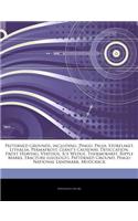 Articles on Patterned Grounds, Including