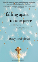 Falling Apart in One Piece: One Optimist's Journey Through the Hell of Divorce