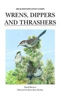 Wrens, Dippers and Thrashers