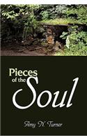Pieces of the Soul
