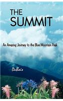 The Summit: An Amazing Journey to the Blue Mountain Peak