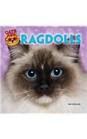 Ragdolls
