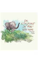 Elephant in our Garden