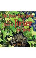 Pests that Girdle the Home of Tucker the Turtle