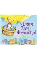 Littlest Bunny in Newfoundland