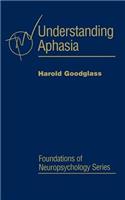 Understanding Aphasia