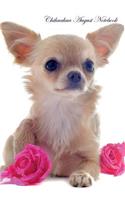 Chihuahua August Notebook Chihuahua Record, Log, Diary, Special Memories, to Do List, Academic Notepad, Scrapbook & More