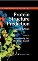 Protein Structure Prediction