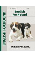 English Foxhound