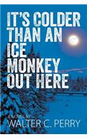 It's Colder Than an Ice Monkey Out Here