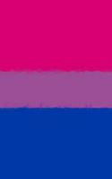 Bisexual Pride Flag Journal