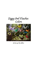 Ziggy Owl Teaches Colors