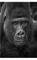 Gorilla Notebook - Journal Gift for Cute Animal Lovers