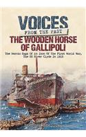 Voices from the Past: The Wooden Horse of Gallipoli