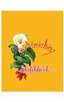 Astonishing Sketchbook