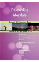Delavirdine Mesylate; Complete Self-Assessment Guide