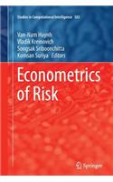 Econometrics of Risk