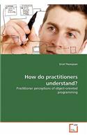 How do practitioners understand?: (English)