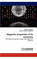 Magnetic Properties of Fe Nanowire