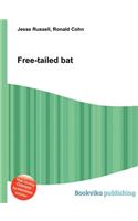 Free-Tailed Bat