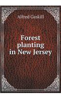 Forest planting in New Jersey