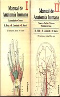 Manual de anatomia humana