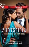 Princess's Secret Baby