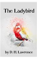 The Ladybird