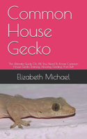 Common House Gecko: The Ultimate Guide On All You Need To Know Common House Gecko Training, Housing, Feeding And Diet