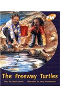 The Freeway Turtles