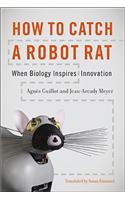 How to Catch a Robot Rat