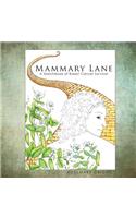 Mammary Lane
