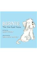 Bernie the One-Eyed Puppy