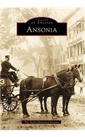 Ansonia