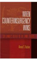 When Counterinsurgency Wins