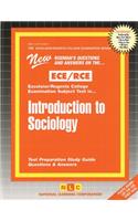 Introduction to Sociology: Volume 102