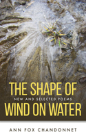 Shape of Wind on Water
