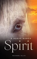 Horse Named Spirit