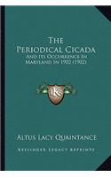 Periodical Cicada