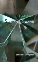 Ladybird: Shattered Swords