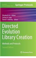 Directed Evolution Library Creation