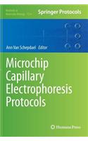 Microchip Capillary Electrophoresis Protocols
