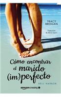 Cómo encontrar el marido (im)perfecto: (2 Historias de Bell Harbor)