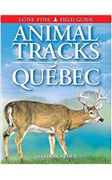 Animal Tracks of Quebec