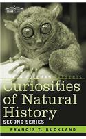 Curiosities of Natural History, in Four Volumes