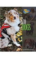 Eco Dogs