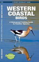 Western Coastal Birds