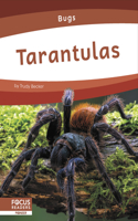 Tarantulas: (Bugs)