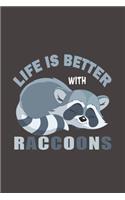Life Is Better With Raccoons